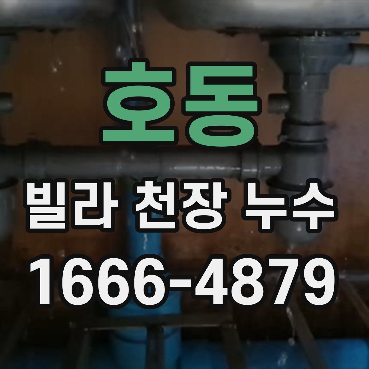 호동 빌라 천장 누수