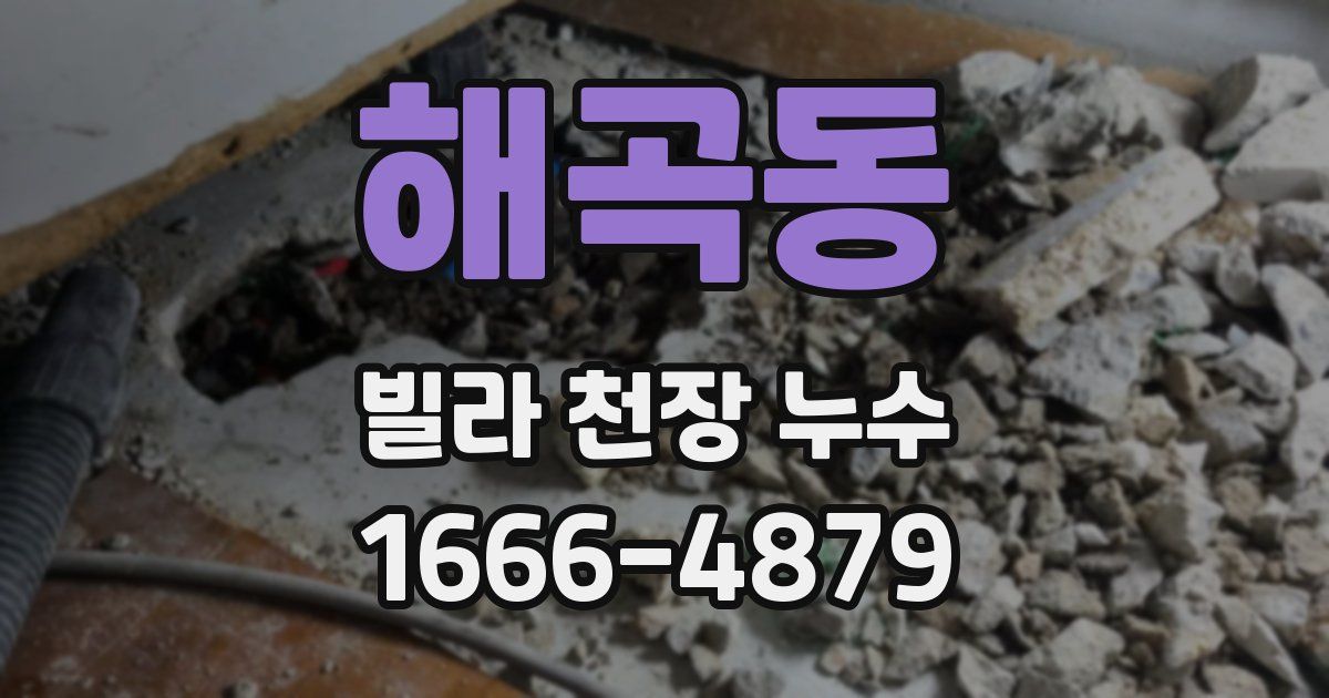 해곡동 빌라 천장 누수