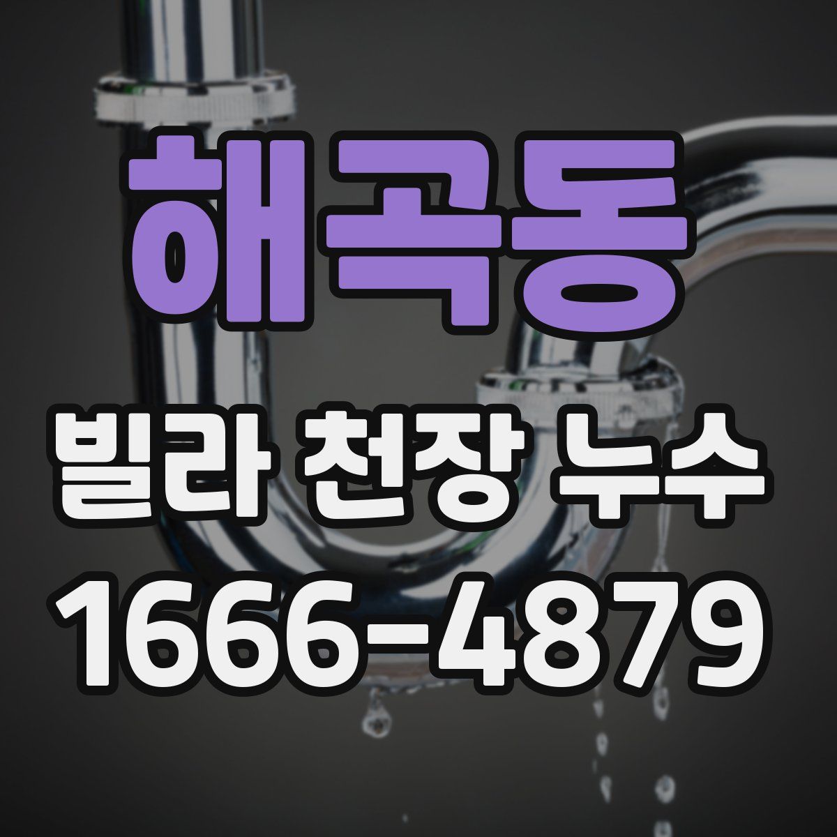 해곡동 빌라 천장 누수