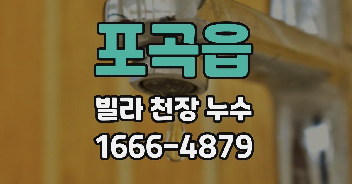 포곡읍 빌라 천장 누수