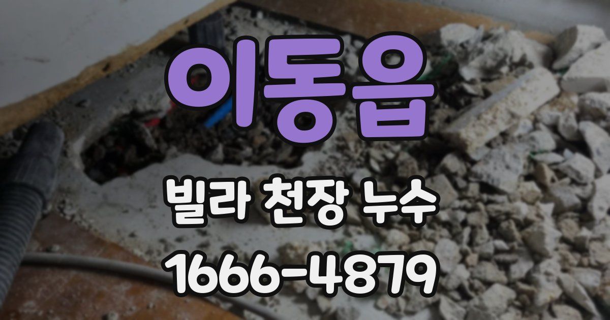 이동읍 빌라 천장 누수