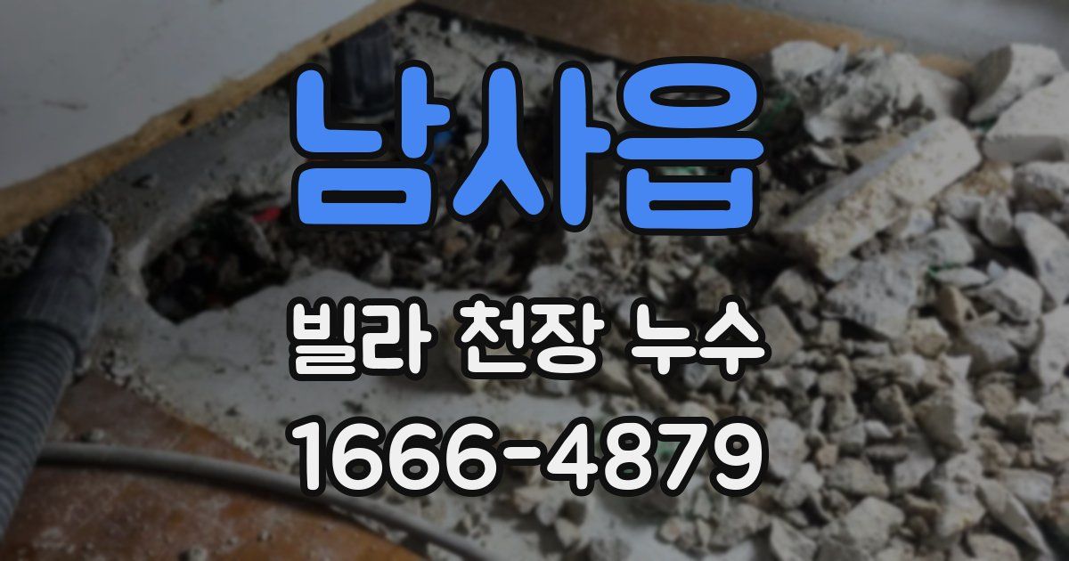 남사읍 빌라 천장 누수