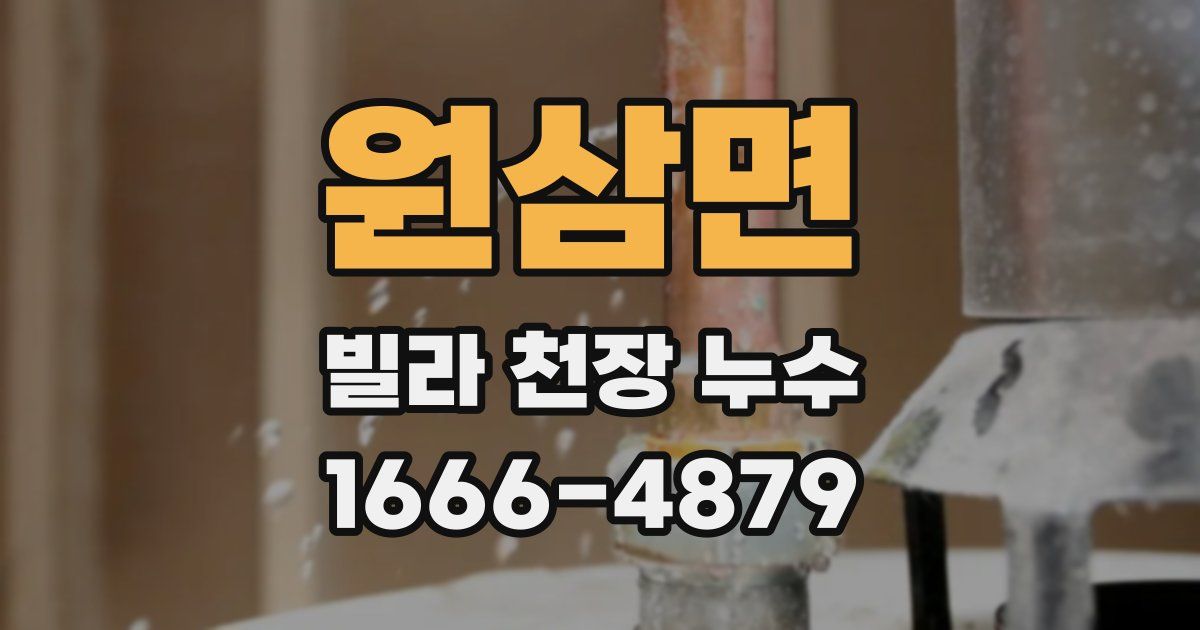 원삼면 빌라 천장 누수