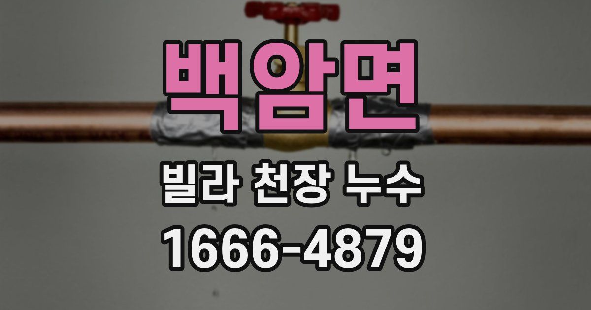 백암면 빌라 천장 누수