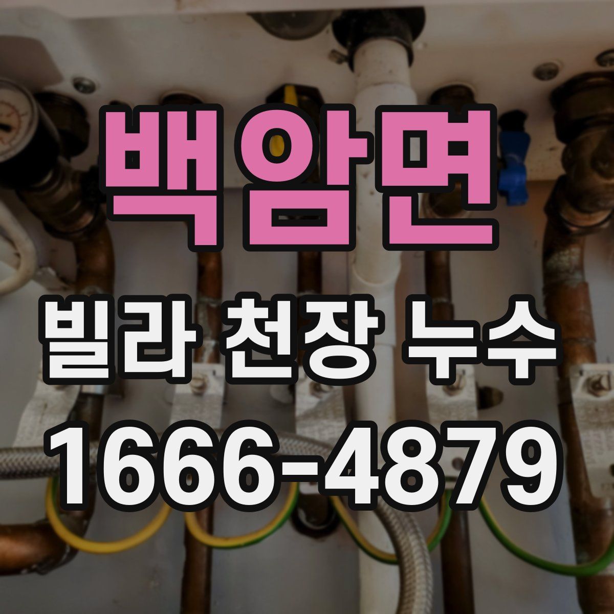 백암면 빌라 천장 누수