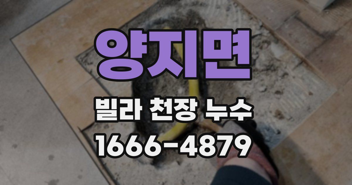 양지면 빌라 천장 누수