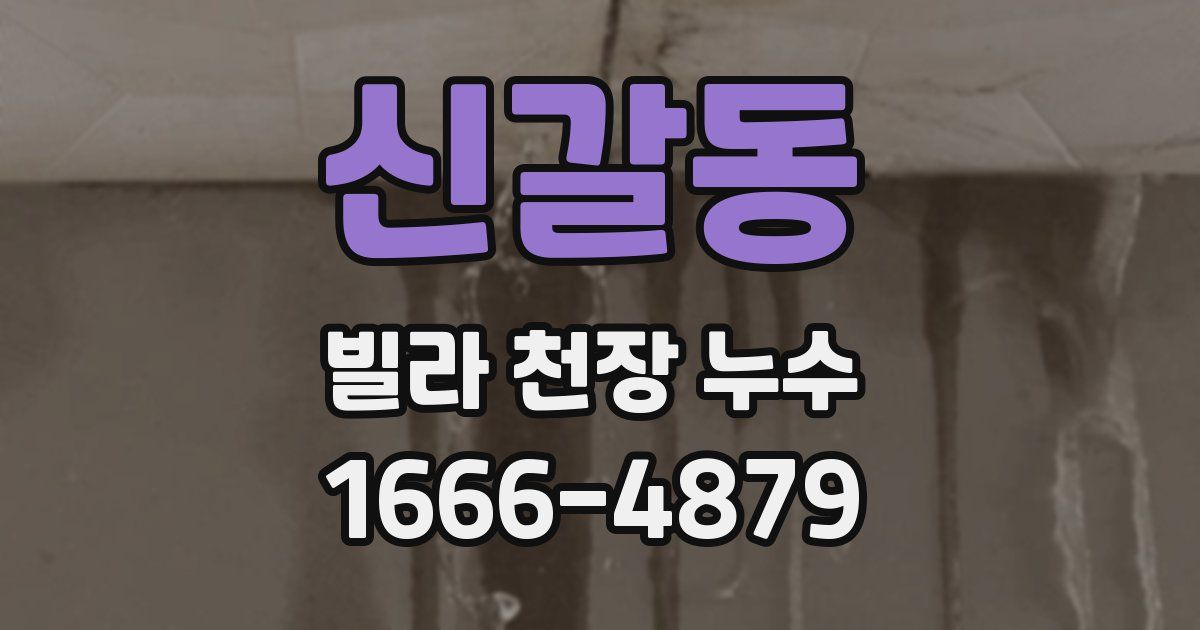 신갈동 빌라 천장 누수
