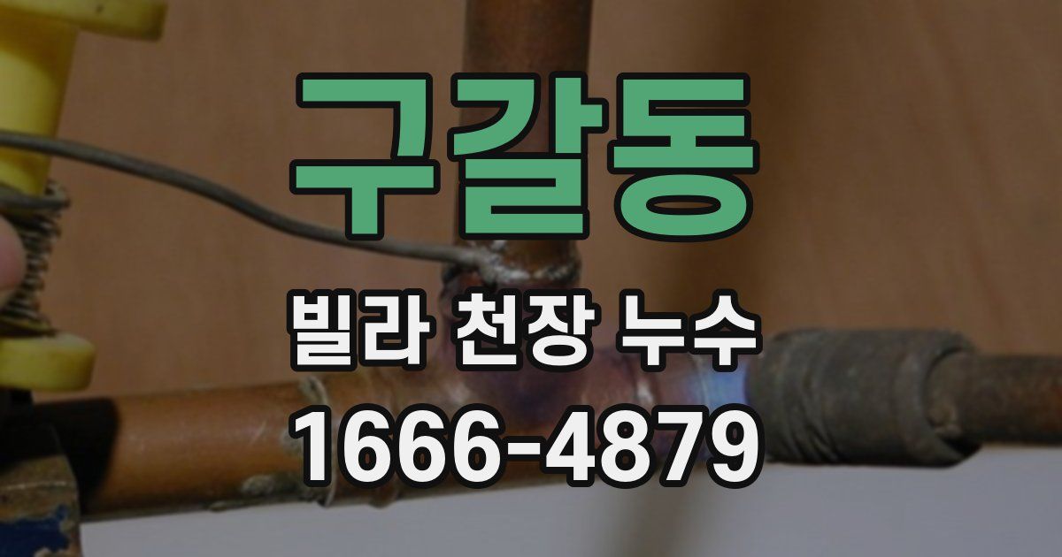 구갈동 빌라 천장 누수