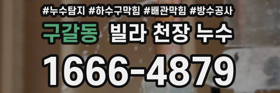 구갈동 빌라 천장 누수