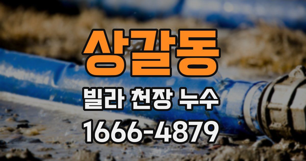 상갈동 빌라 천장 누수