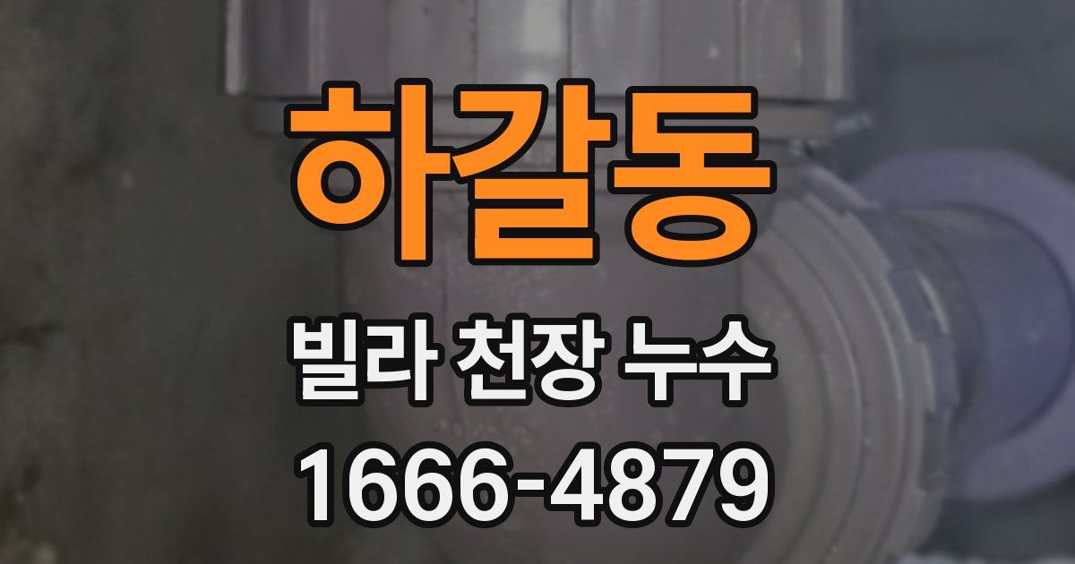 하갈동 빌라 천장 누수
