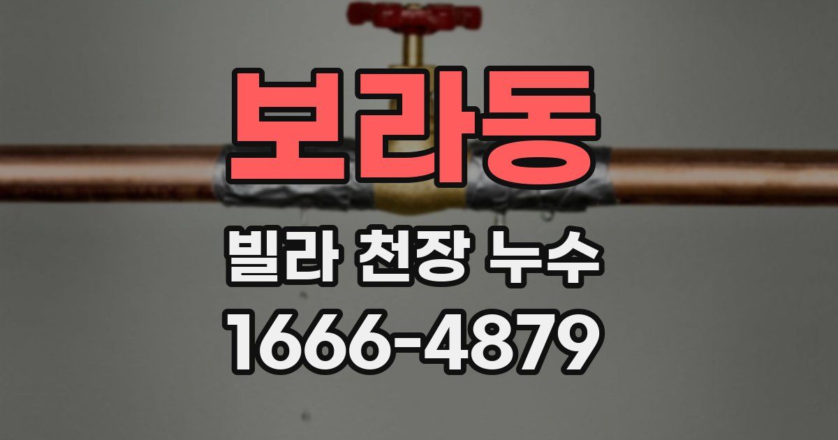 보라동 빌라 천장 누수