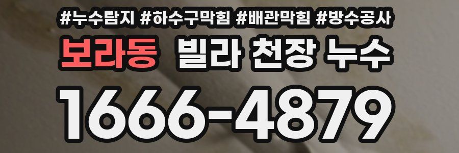 보라동 빌라 천장 누수