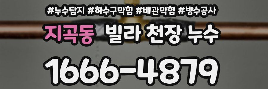 지곡동 빌라 천장 누수