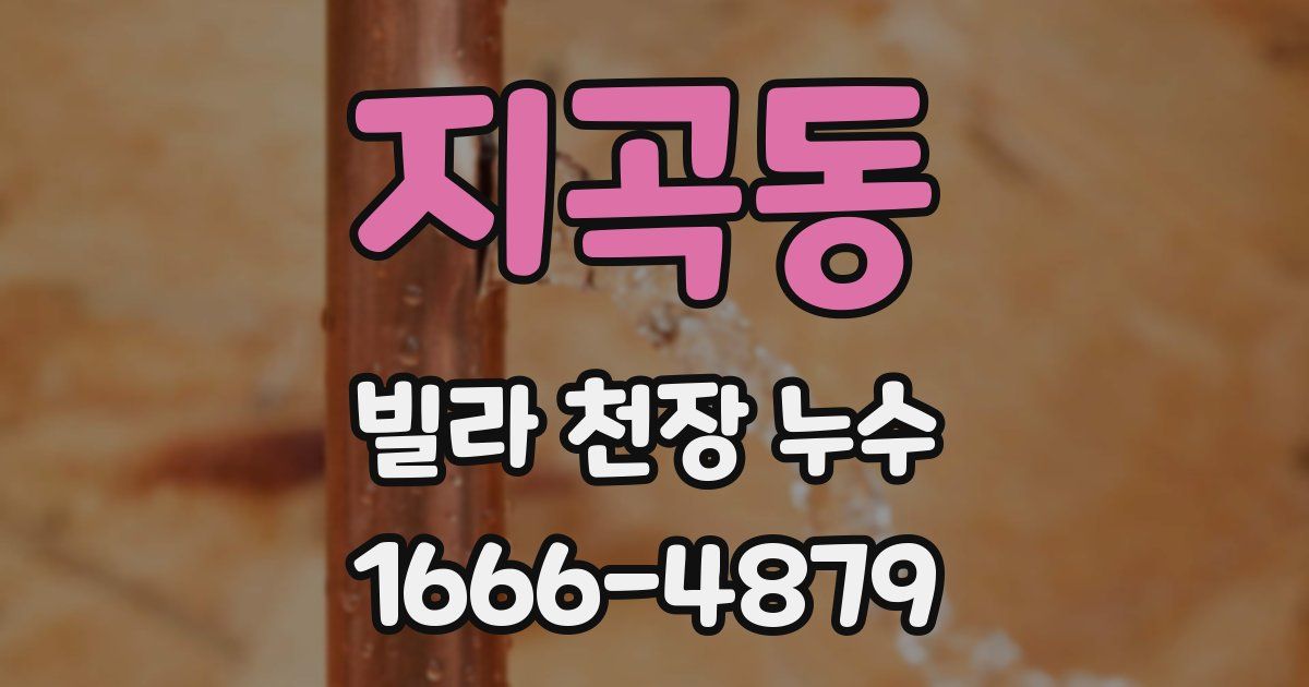 지곡동 빌라 천장 누수