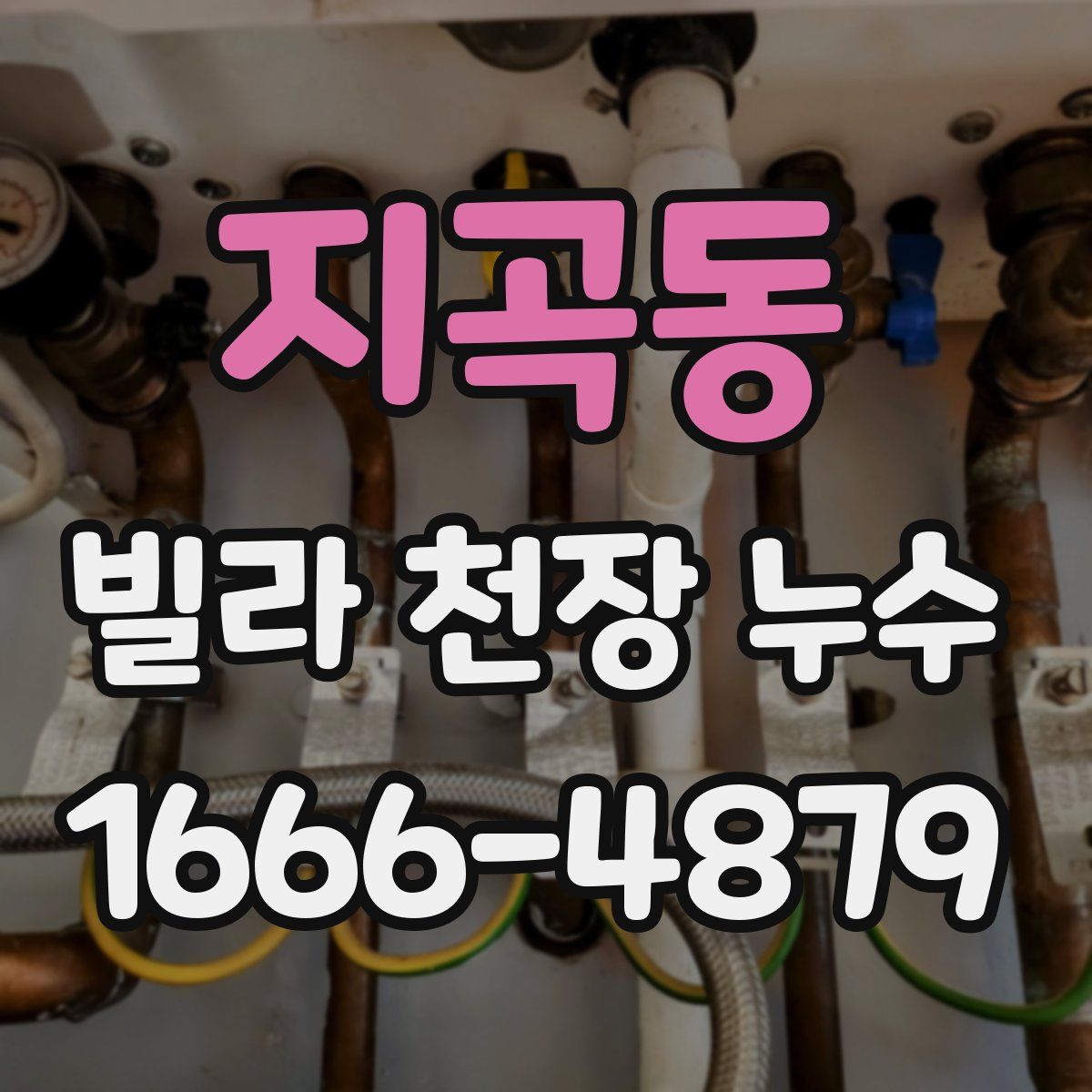 지곡동 빌라 천장 누수