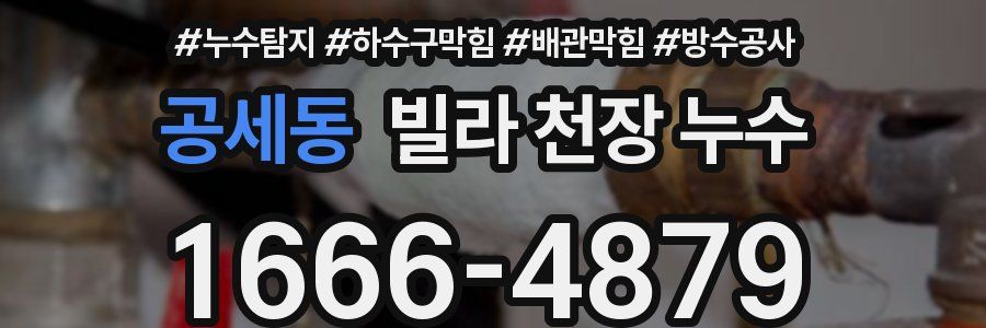 공세동 빌라 천장 누수