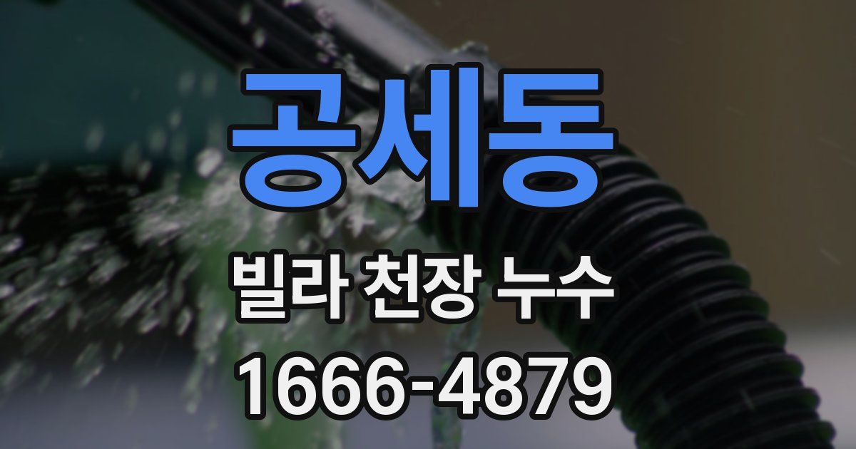 공세동 빌라 천장 누수