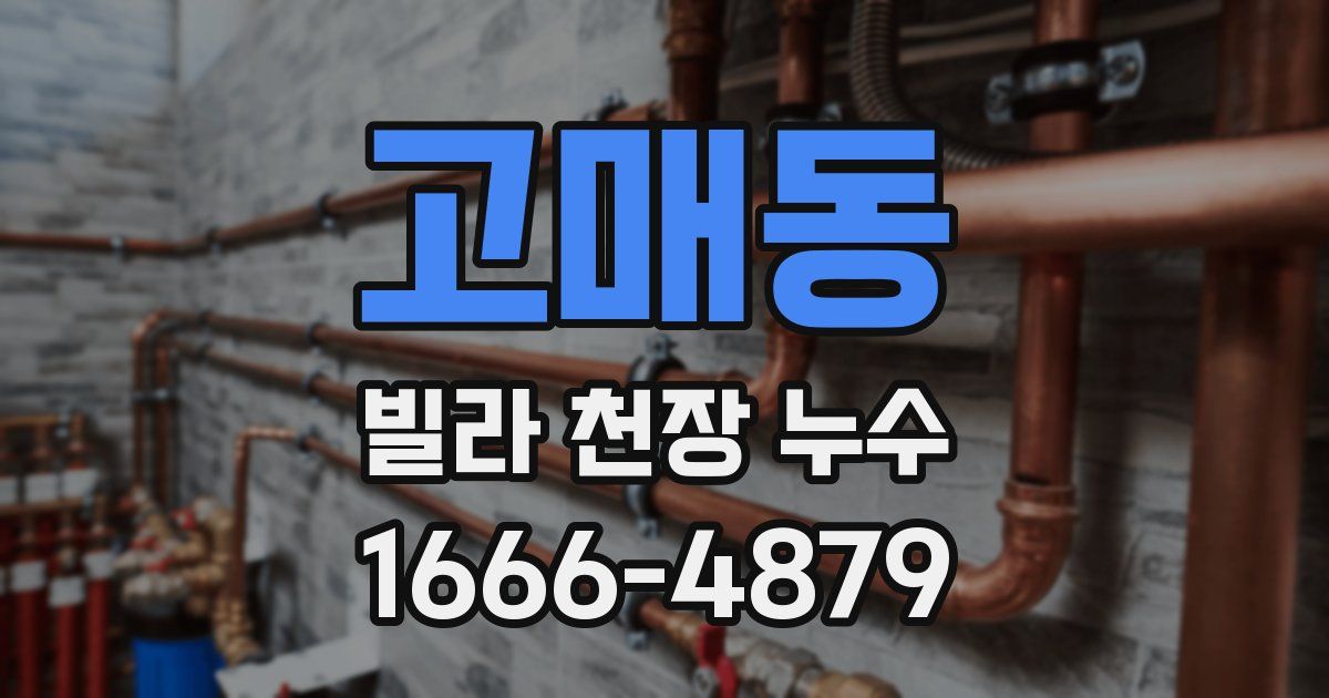 고매동 빌라 천장 누수