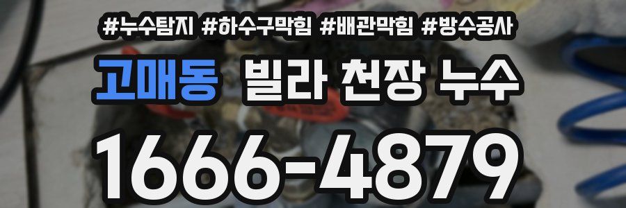 고매동 빌라 천장 누수