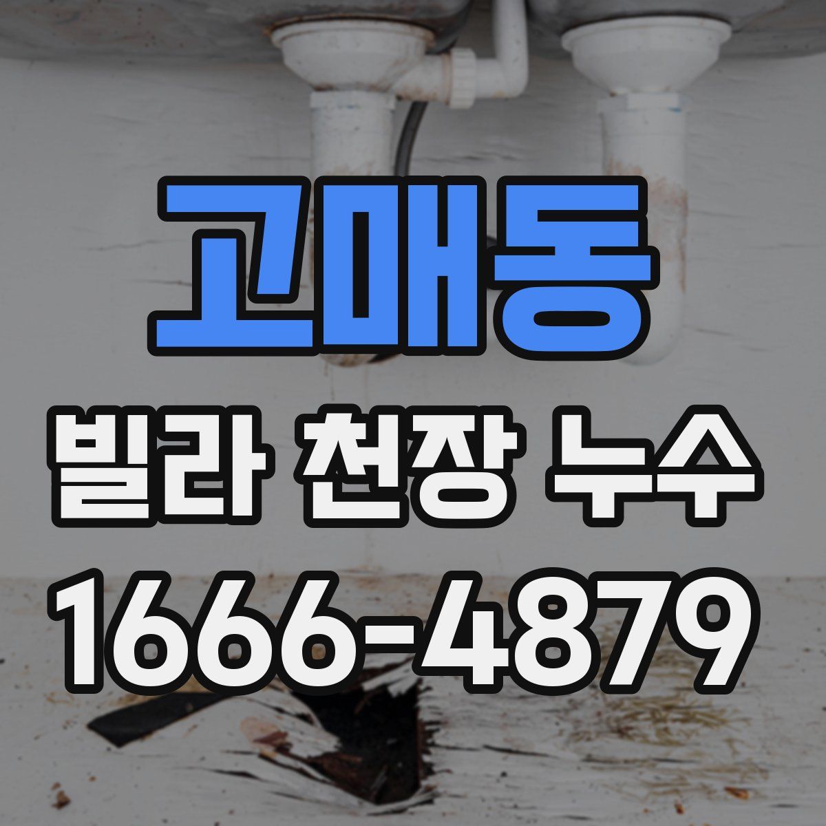 고매동 빌라 천장 누수