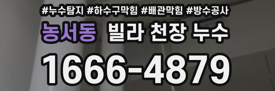 농서동 빌라 천장 누수