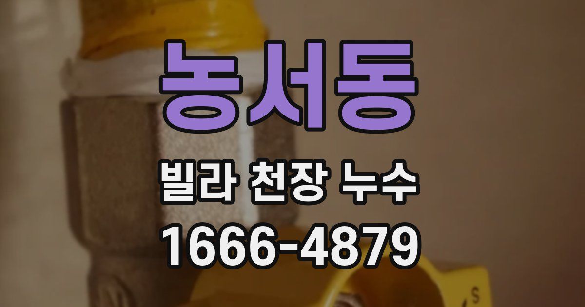 농서동 빌라 천장 누수