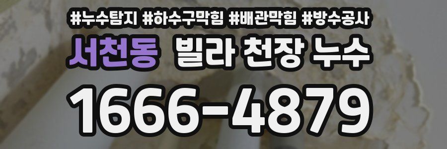서천동 빌라 천장 누수