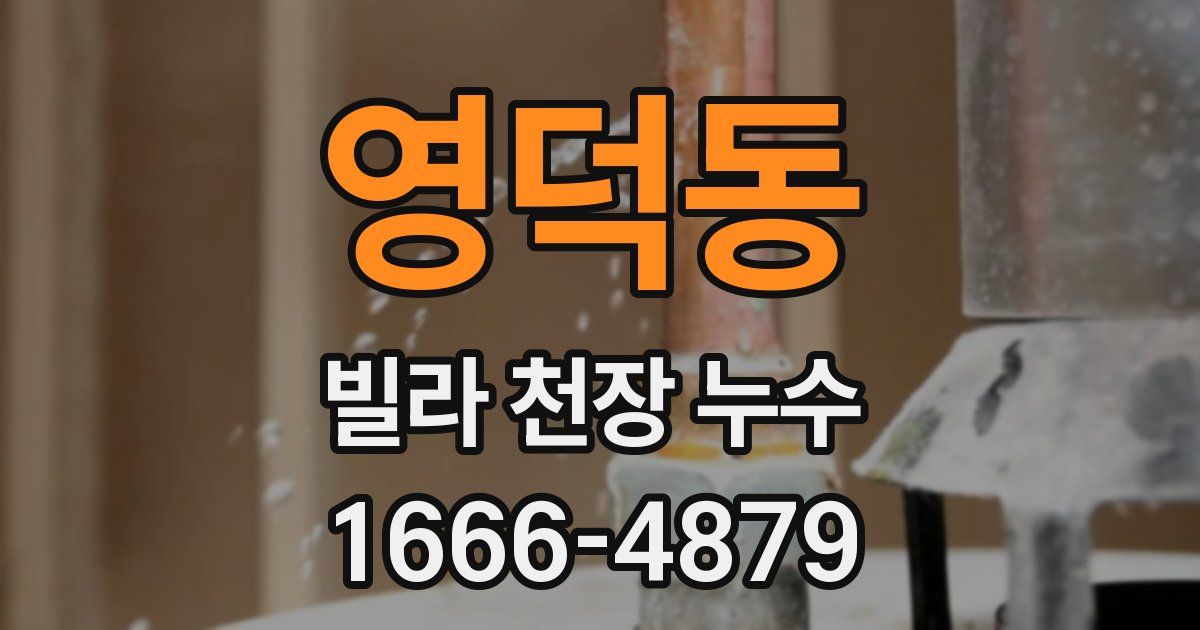 영덕동 빌라 천장 누수