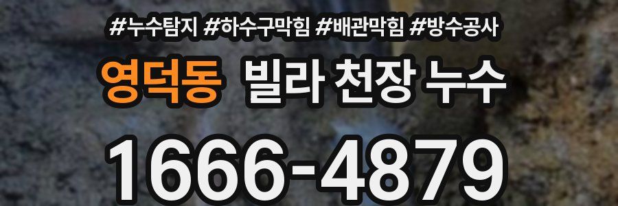 영덕동 빌라 천장 누수