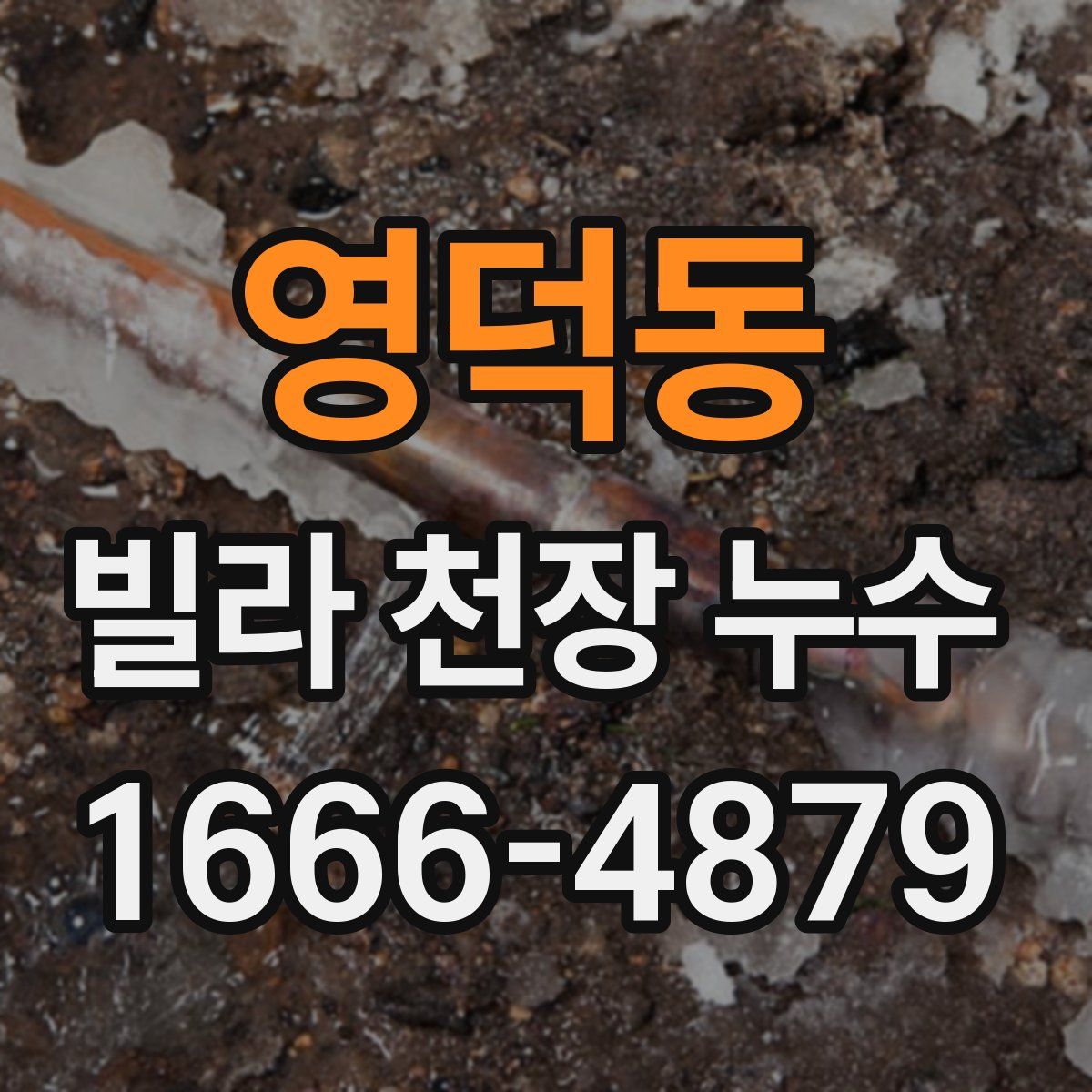 영덕동 빌라 천장 누수