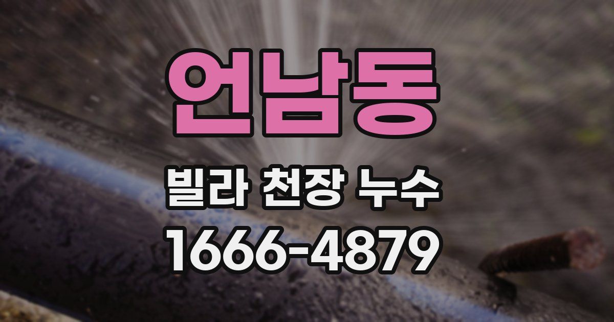 언남동 빌라 천장 누수