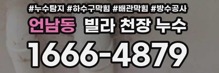 언남동 빌라 천장 누수