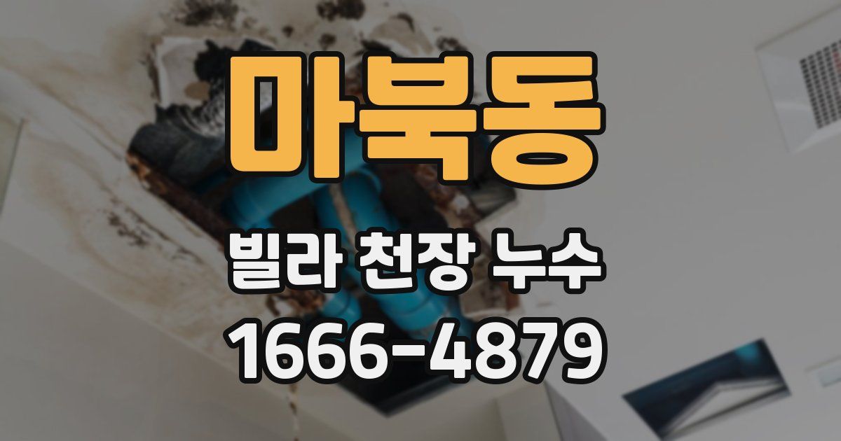마북동 빌라 천장 누수