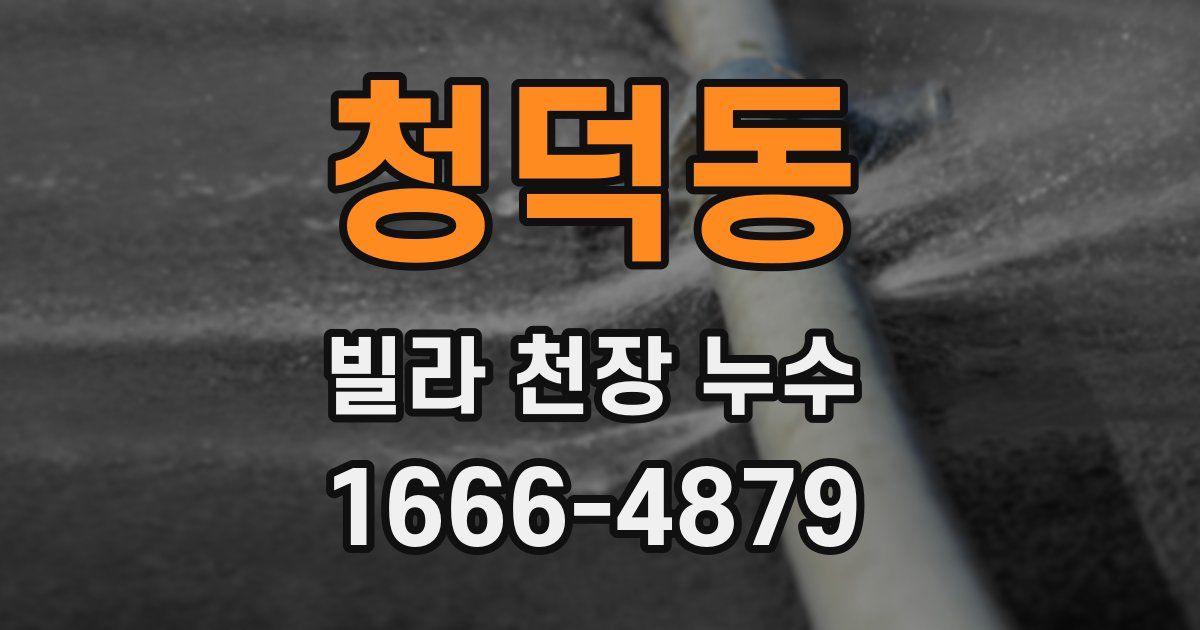 청덕동 빌라 천장 누수