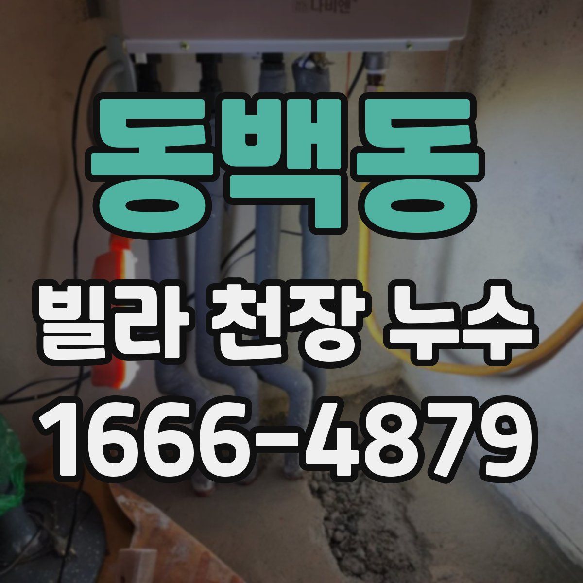 동백동 빌라 천장 누수