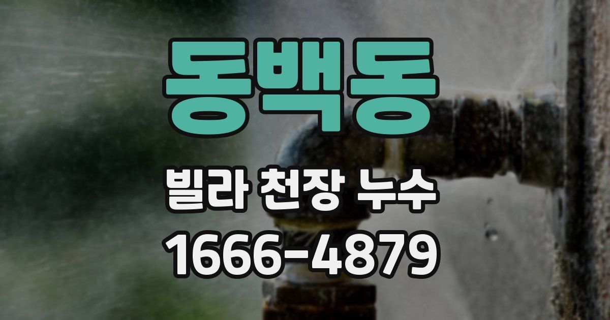 동백동 빌라 천장 누수