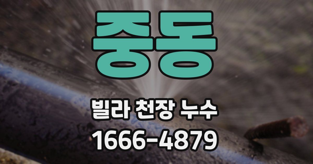 중동 빌라 천장 누수