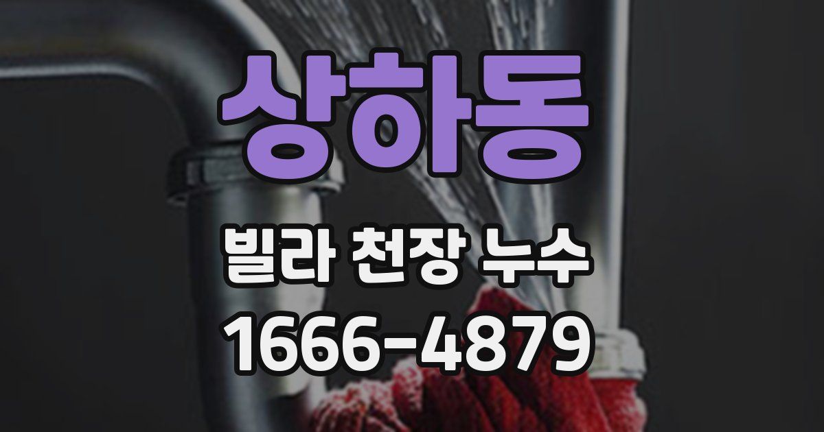 상하동 빌라 천장 누수