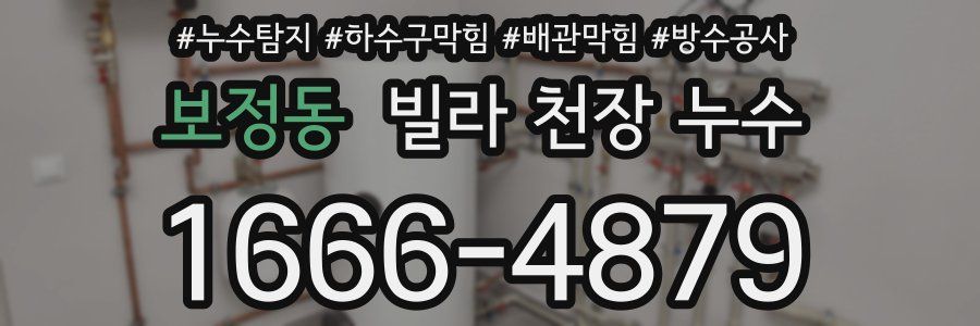 보정동 빌라 천장 누수