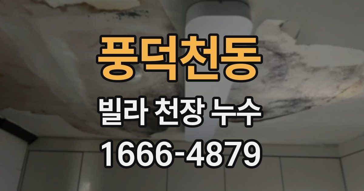 풍덕천동 빌라 천장 누수