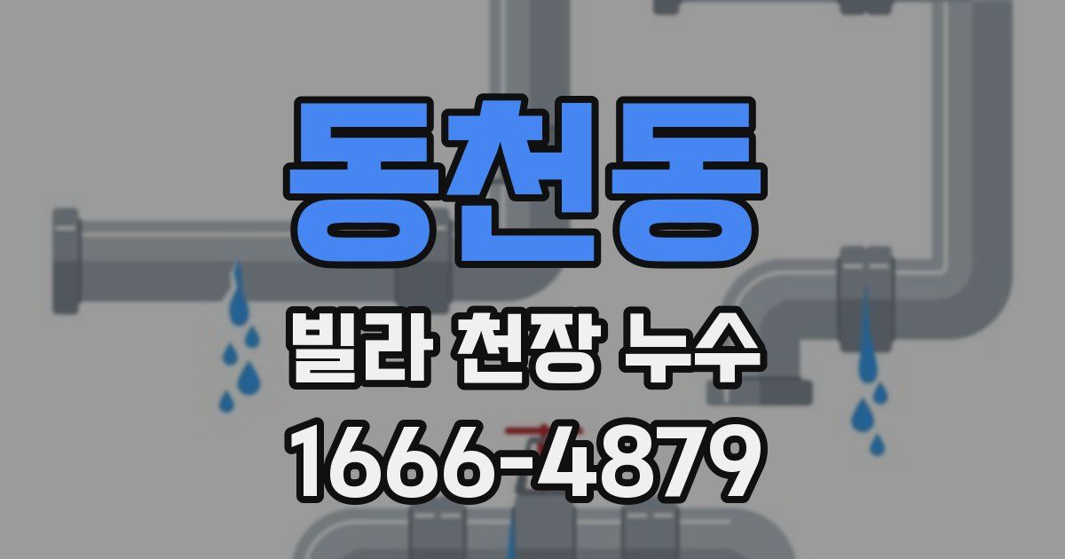 동천동 빌라 천장 누수