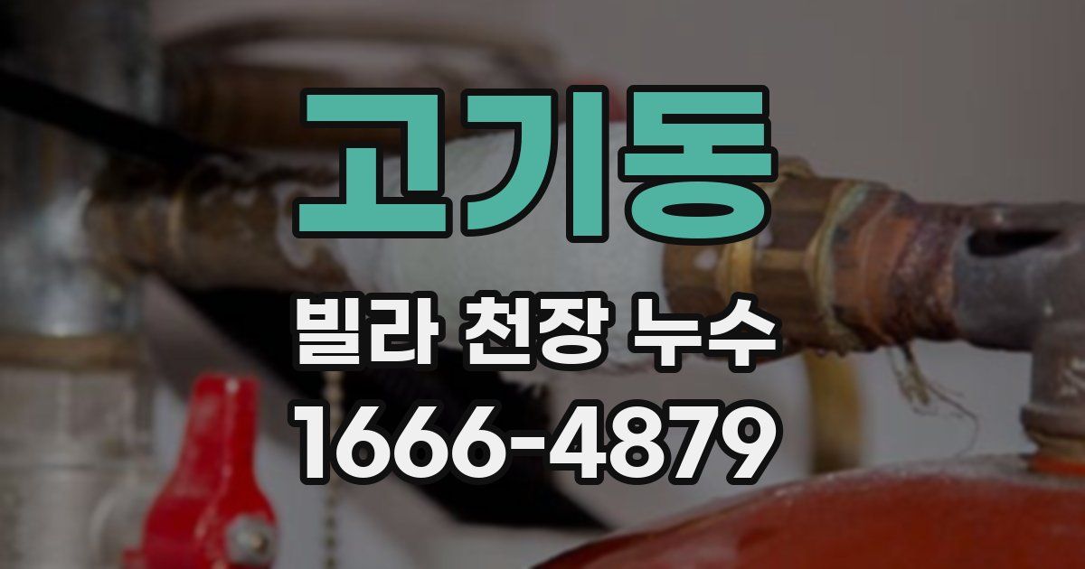 고기동 빌라 천장 누수