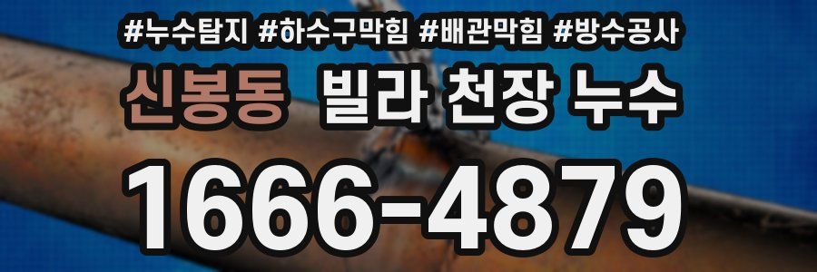 신봉동 빌라 천장 누수