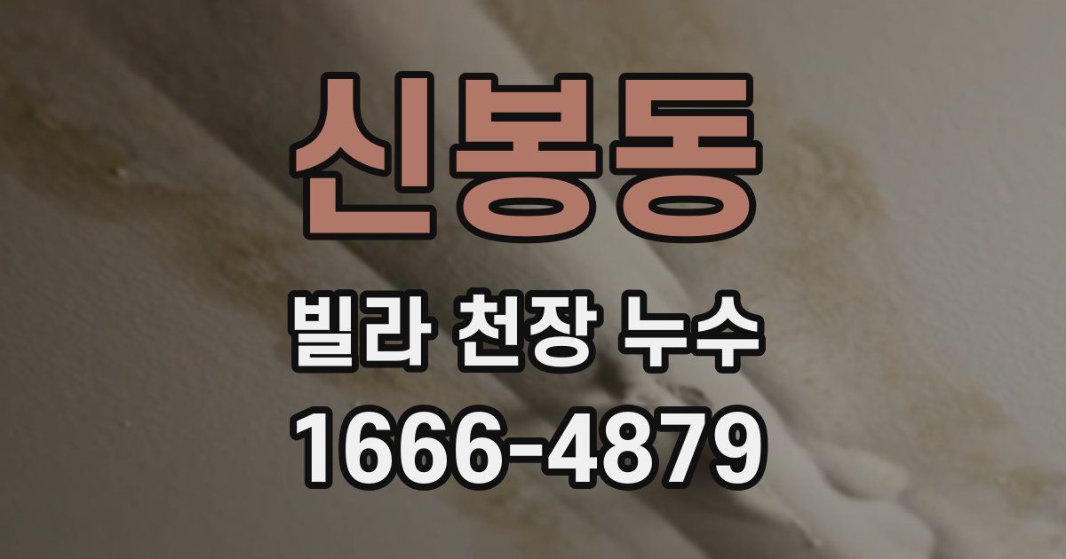 신봉동 빌라 천장 누수