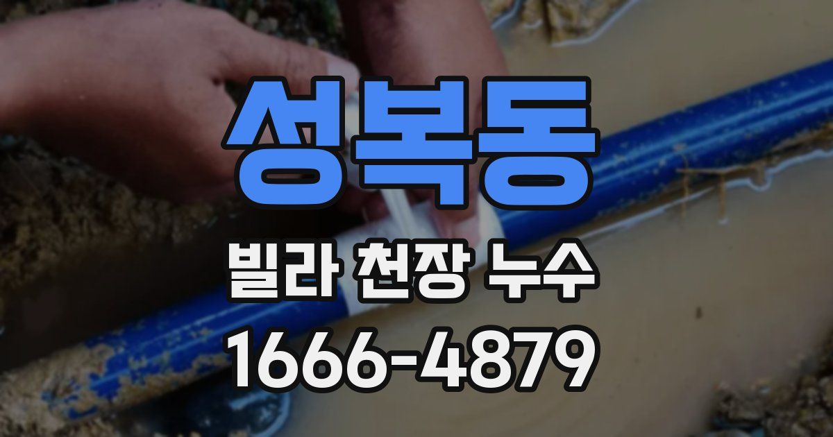성복동 빌라 천장 누수
