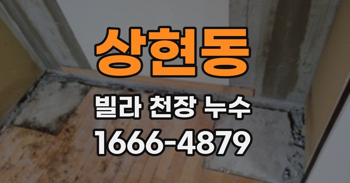 상현동 빌라 천장 누수