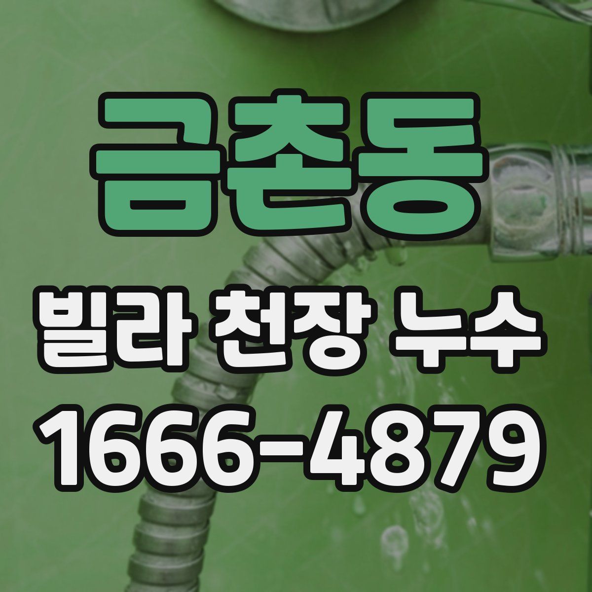 금촌동 빌라 천장 누수