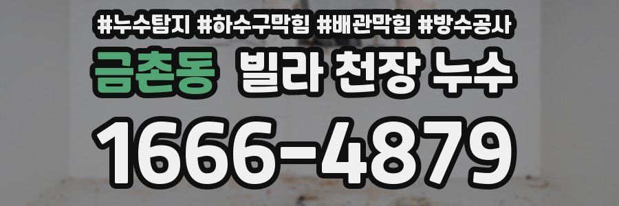 금촌동 빌라 천장 누수