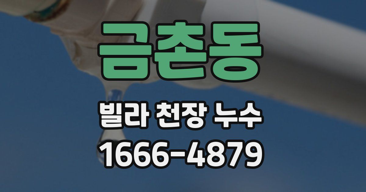 금촌동 빌라 천장 누수